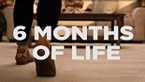 6 Months of Life - Time to Rent