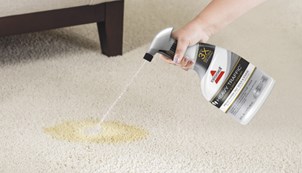 Hand spraying carpet with cleaning formula