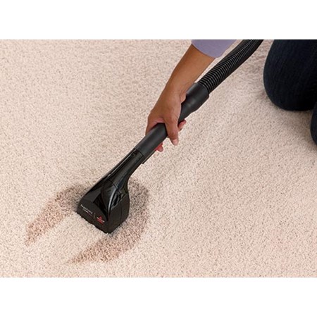 Pawsitively Clean - Foaming Power Carpet & Upholstery Cleaner